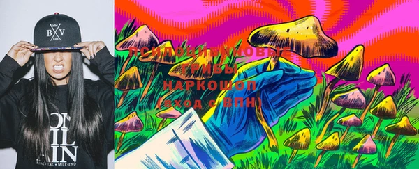 МДПВ Лагань