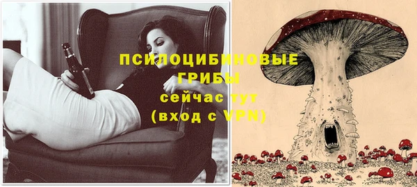 МДПВ Лагань
