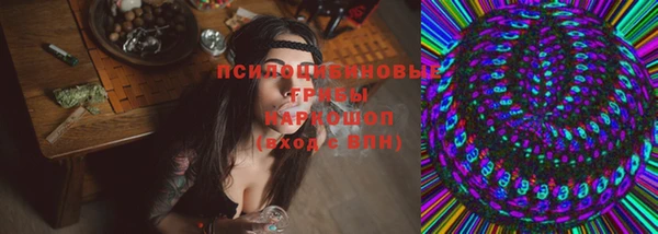 МДПВ Лагань
