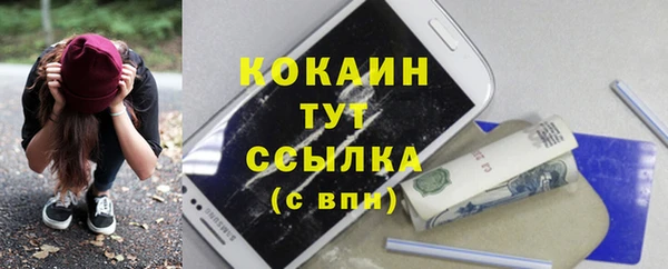 ECSTASY Ладушкин