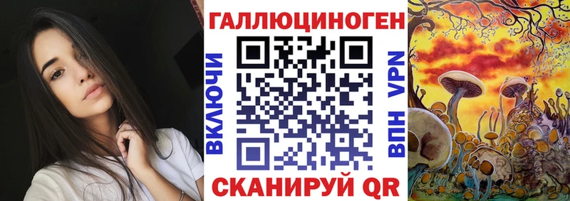 Псилоцибиновые грибы GOLDEN TEACHER  Бердск 