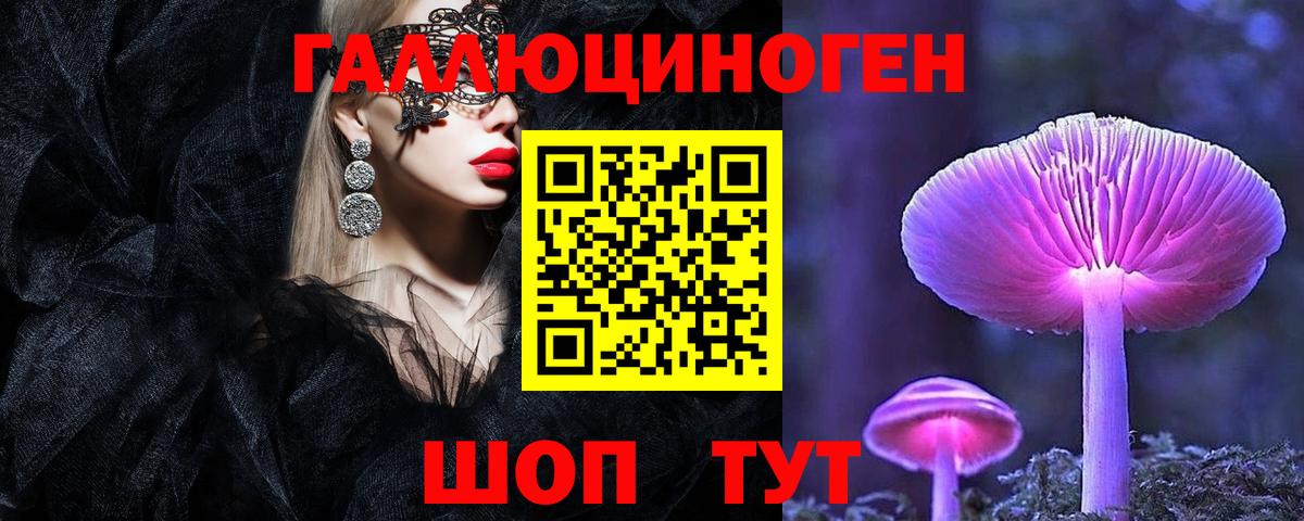 Галлюциногенные грибы GOLDEN TEACHER  закладка  Бердск  Вход с VPN 