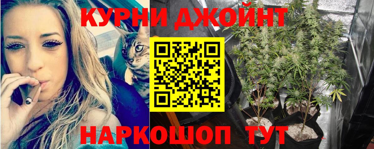 Бошки Шишки семена Бердск